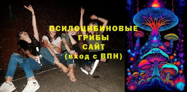 jwh Белокуриха