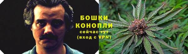 jwh Белокуриха
