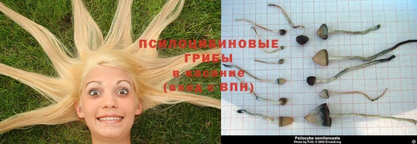 СК Беломорск