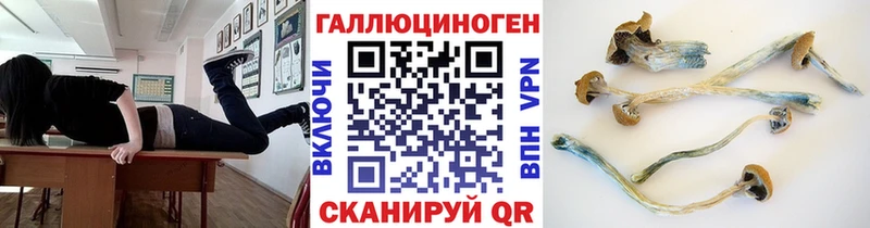 Псилоцибиновые грибы мухоморы mega зеркало Гудермес